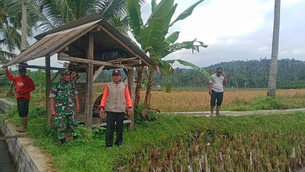 PENYISIRAN: Petugas gabungan mencari nenek, Suliati, 61, warga Dusun Sroyo Barat, Desa Bangunsari, Kecamatan Songgon, Kamis (15/1).