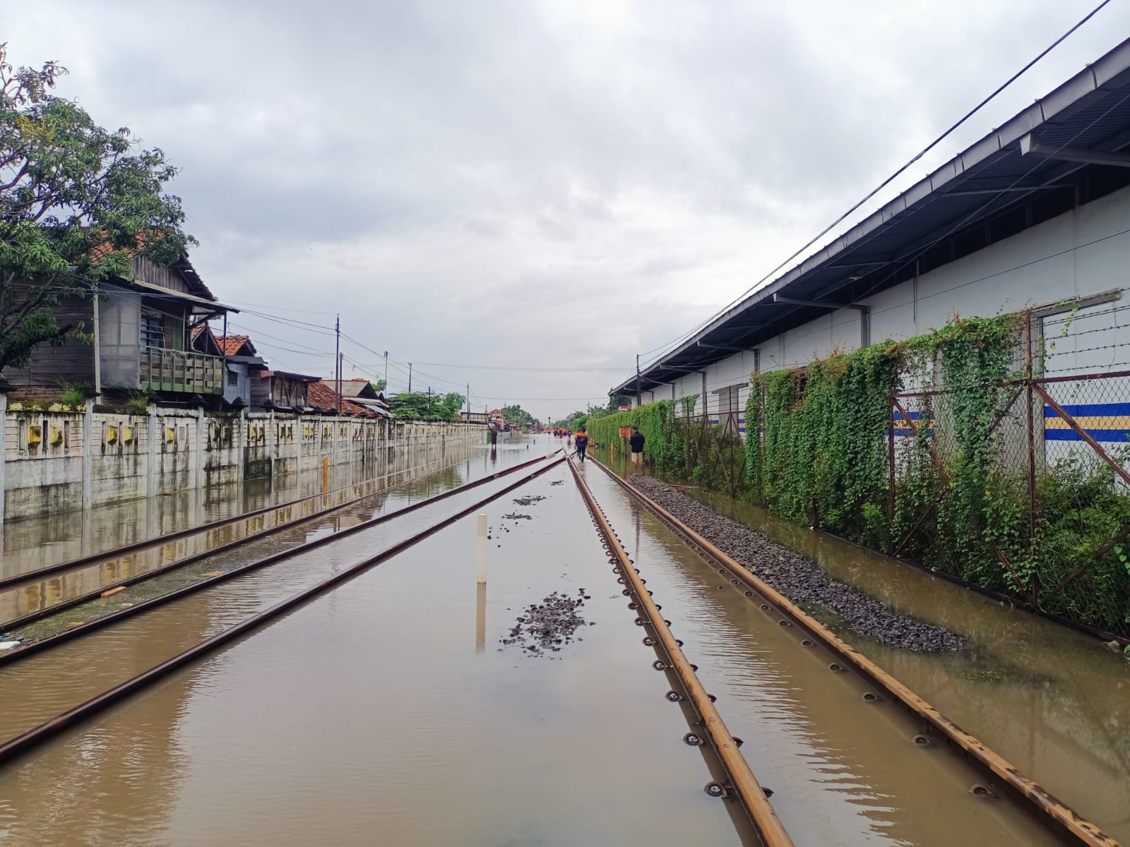 Jalur hilir Pekalongan-Sragi kembali dibuka.