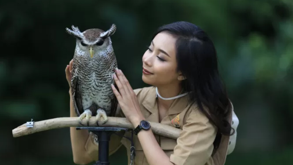 Jember Mini Zoo tawarkan wisata edukasi keluarga dengan 300 satwa dari Asia hingga Afrika. Tiket terjangkau, cocok untuk belajar sambil liburan.