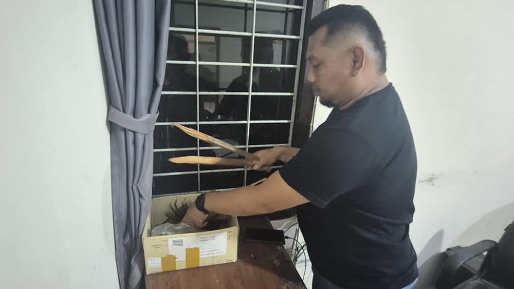 Anggota Unit Reskrim Polsek Genteng menunjukkan BB balok kayu yang diduga dipakai para pendekar pencak silat, Sabtu (17/1).