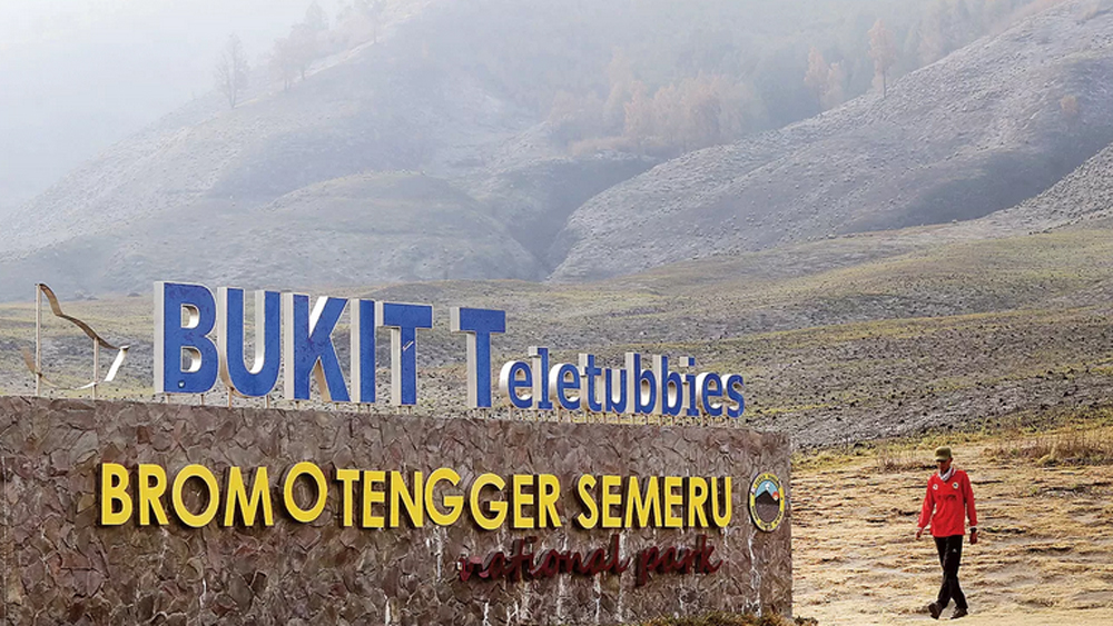 Bukit Teletubbies Gunung Bromo.