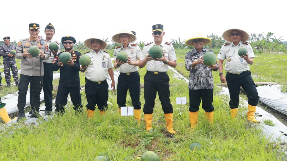 Wabup Banyuwangi Mujiono panen raya semangka di Lapas Banyuwangi. Program SAE jadi upaya pembinaan warga binaan dan dukung ketahanan pangan nasional.