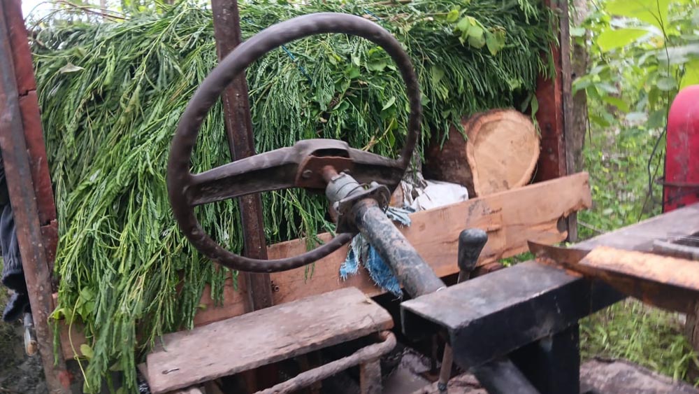 PENGELABUHAN: Tujuh kayu jati ilegal diatas gerandong yang di amankan petugas ditutupi rumput di wilayah Petak 110 H-1, RPH Kalipait, BKPH Blambangan, KPH Banyuwangi Selatan, Jumat (23/1).