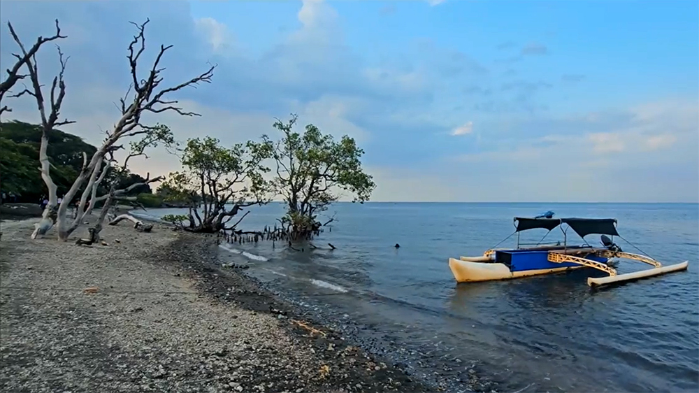 Beach Forest Kendit Situbondo.