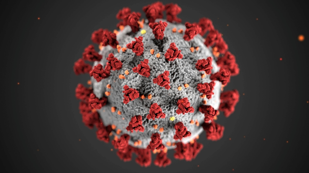 Kasus virus Nipah kembali muncul di India.