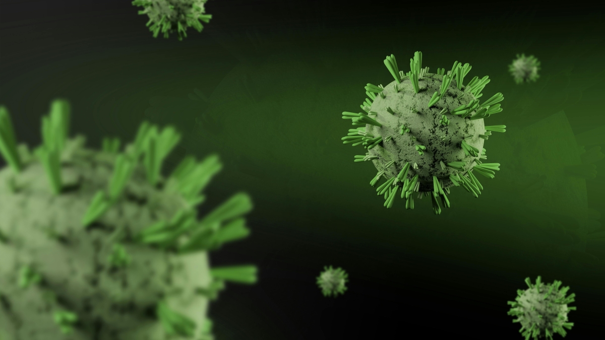 Thailand skrining 1.700 penumpang dari India cegah virus Nipah.