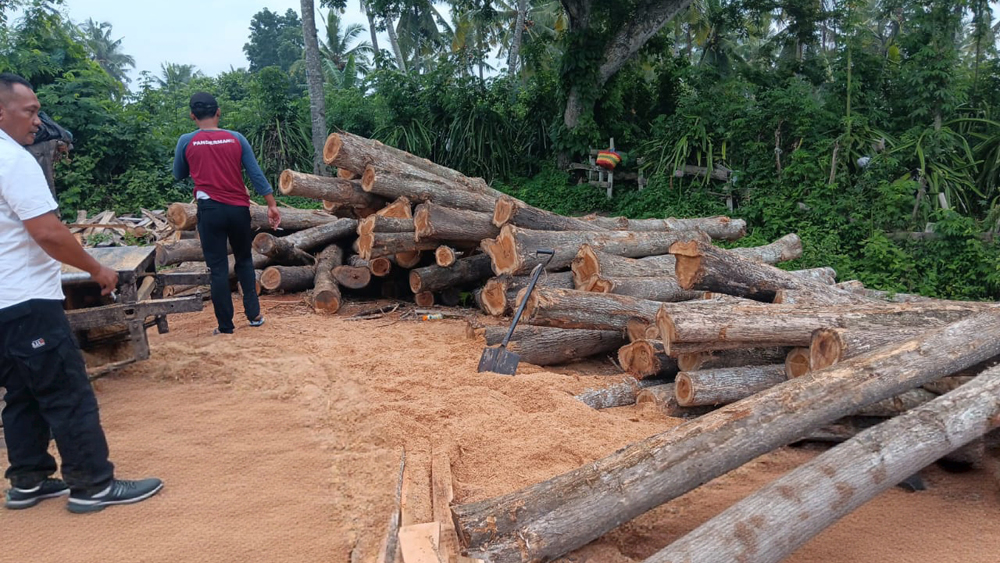 Petugas gabungan mengamankan 134 gelondong kayu jati di lahan kosong masuk wilayah Erpa, Dusun Paluagung, Desa Kendalrejo, Kecamatan Tegaldlimo pada Selasa (27/1).