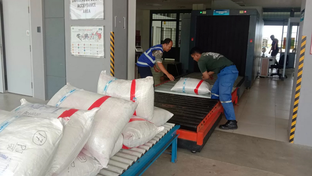 Potensi kargo udara Kediri Raya terus tumbuh. Bandara Dhoho Kediri jadi tumpuan pengiriman tanaman dan kebutuhan industri ke berbagai daerah.