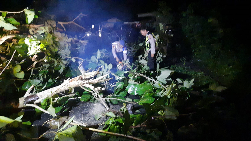 GERAK CEPAT: Anggota Polsek Purwoharjo evakuasi pohon tumbang melintang di Jalan Raya Hutan Karetan Desa Karetan, Kecamatan Purwoharjo pada Sabtu (31/1) malam.
