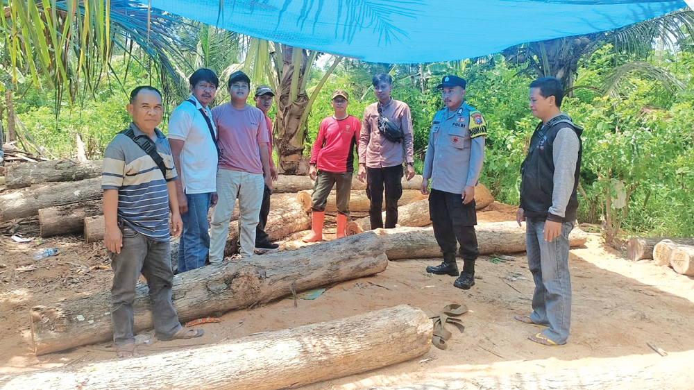 Petugas Perhutani KPH Banyuwangi Selatan menemukan 33 kayu jati tanpa surat resmi pada Sabtu (31/1).