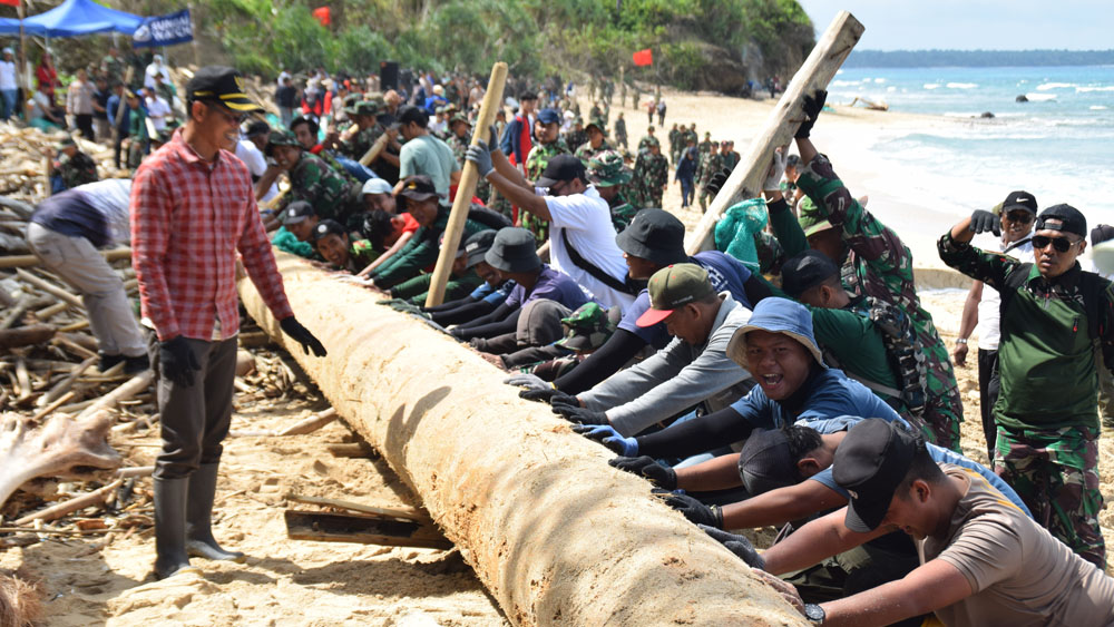 Kayu gelondong sepanjang sekitar 7 meter didorong bersama-sama dalam kegiatan bersih-bersih di Pantai Pancur, TN Alas Purwo, Kamis (5/2).