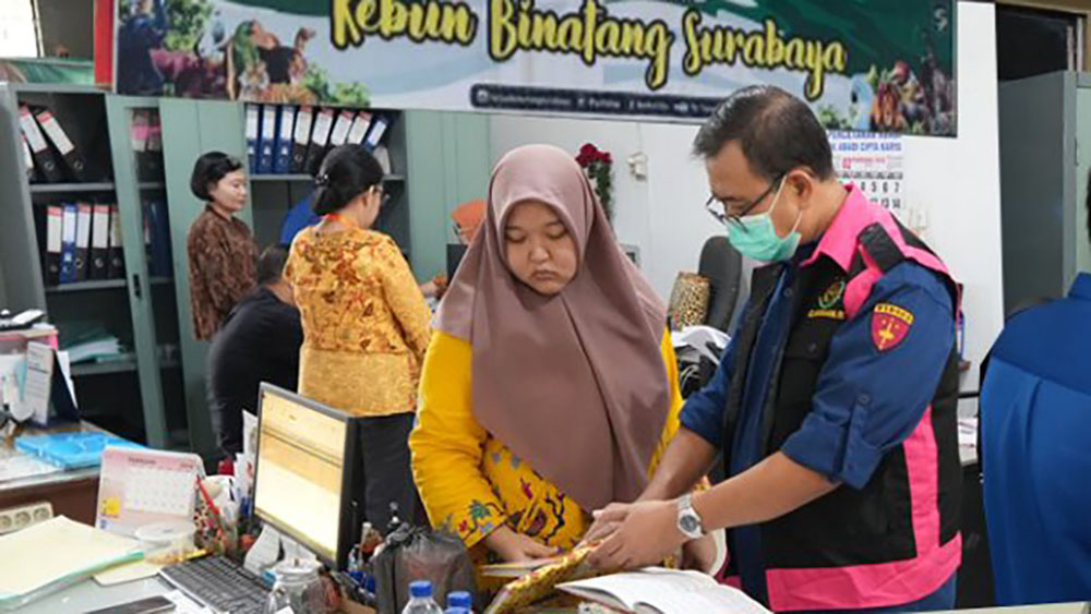 Kejati Jatim menggeledah kantor PD Taman Satwa Kebun Binatang Surabaya usai naikkan status penyidikan dugaan korupsi keuangan perusahaan.