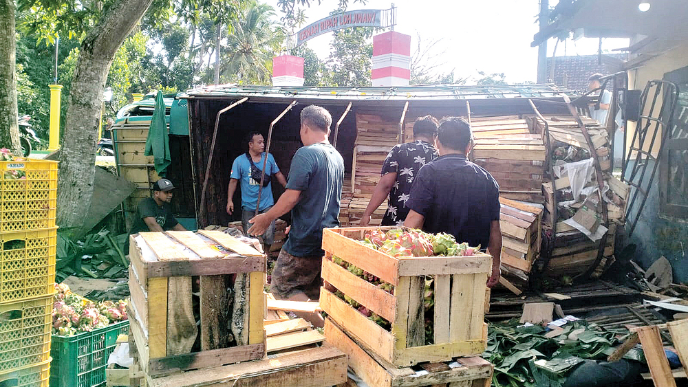 Warga dan aparat Polsek Cluring membantu mengamankan buah naga muatan truk yang terguling.