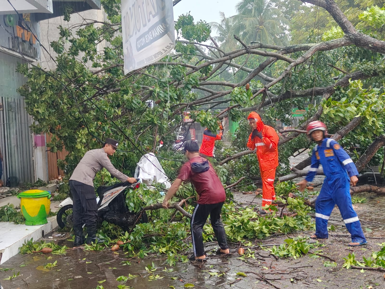 Polsek Banyuwangi evakuasi pohon tumbang di Jalan Kepiting usai hujan lebat.