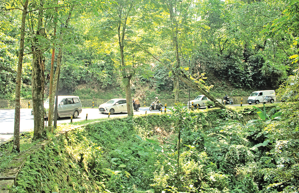 Sejumlah kendaraan melaju di jalan raya di kawasan Gunung Gumitir, tepatnya di Dusun Barurejo, Desa Kalibaru Manis, Kecamatan Kalibaru, Senin (23/2).
