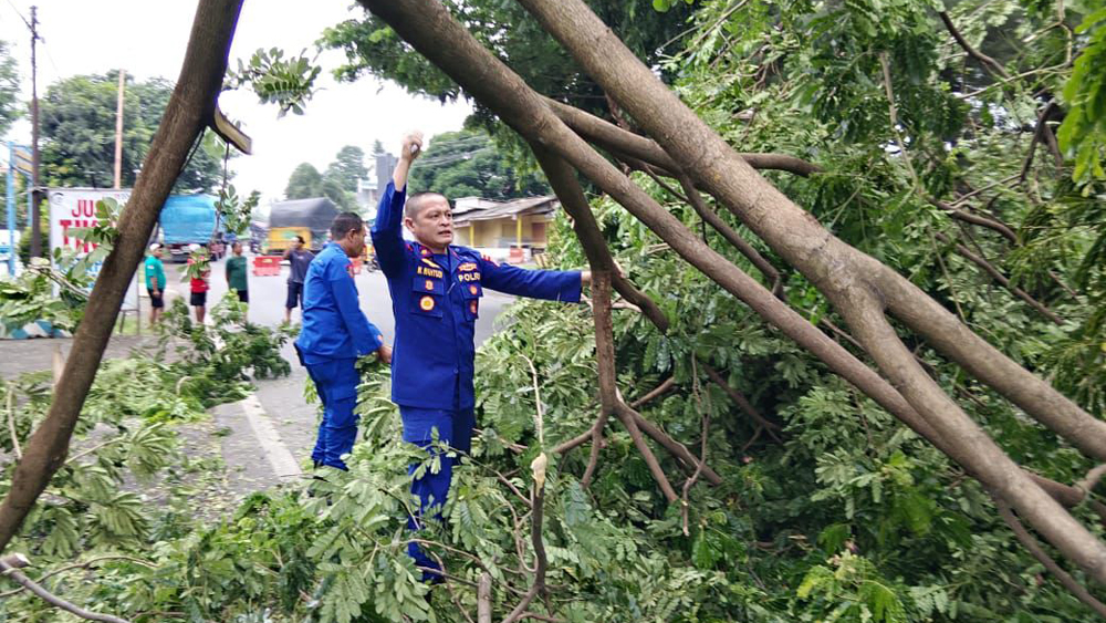 Kasat Polairud Kompol Wahyudi ikut memangkas ranting pohon yang tumbang menutup jalan di depan Mako Polairud, Kamis (26/2).