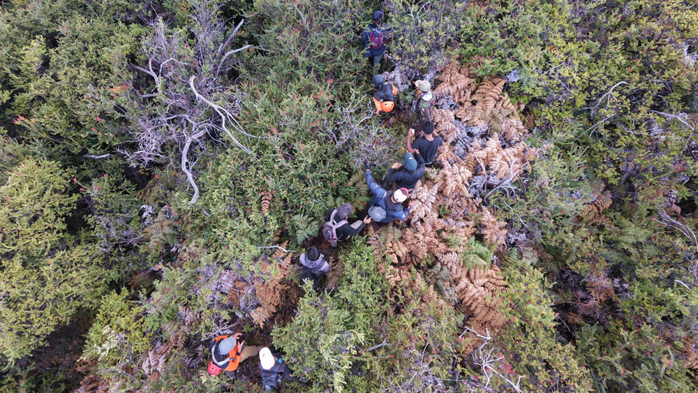 TEROBOS HUTAN: Tim SAR gabungan mencari pendaki yang hilang di jalur menuju kawah Ijen pada pertengahan bulan Februari lalu.