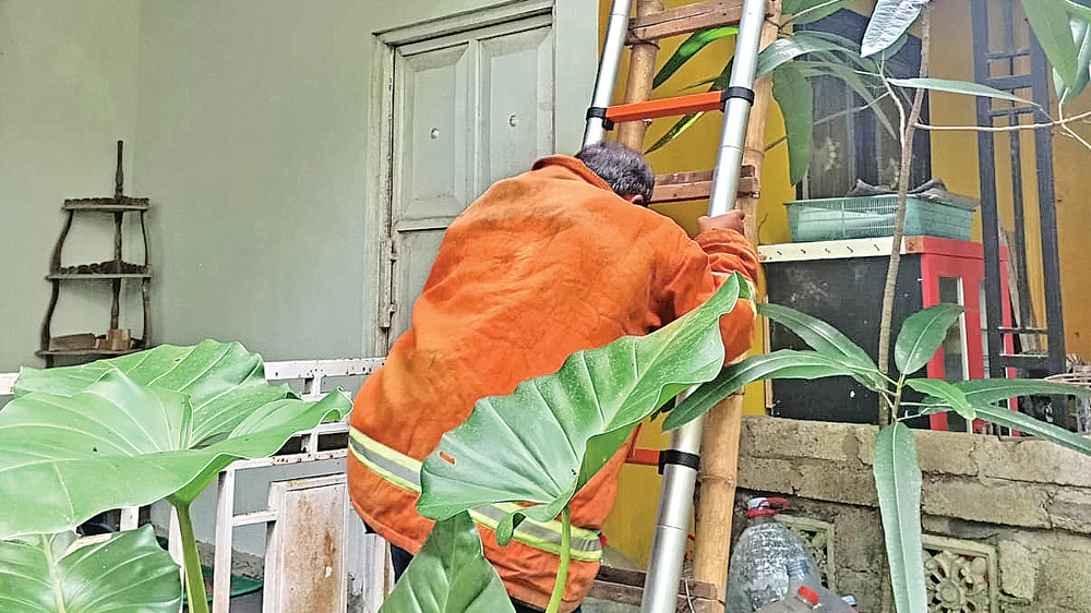 Petugas Damkarmat memanfaatkan tangga untuk mengevakuasi warga Desa Wonosobo, Kecamatan Srono yang terjebak di lantai dua kediamannya sendiri pada Sabtu (28/2).
