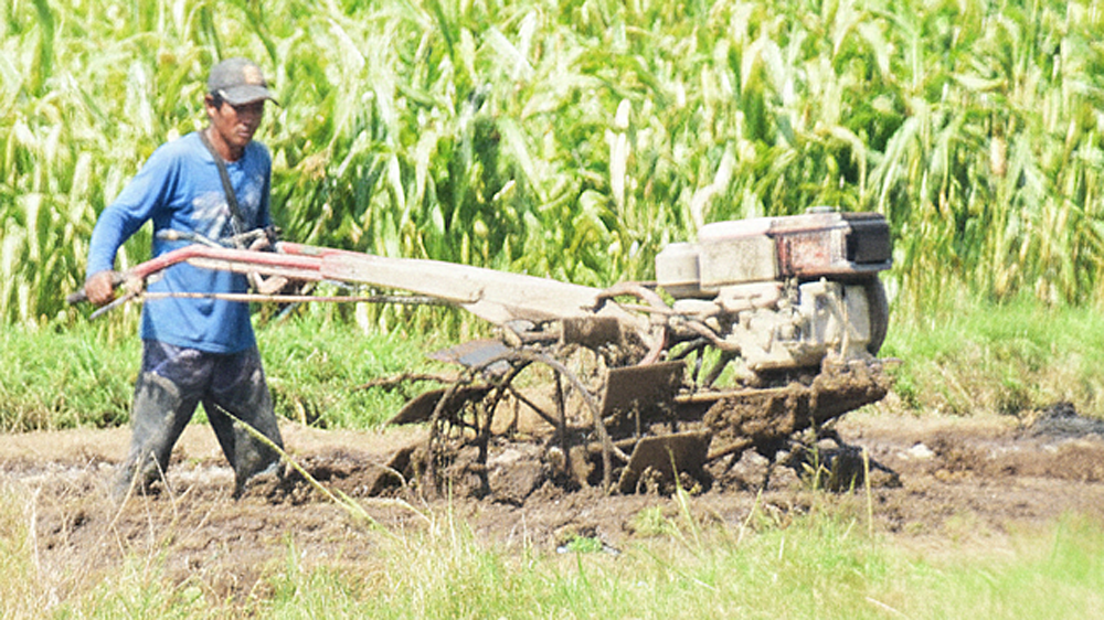 PAKAI TAKTOR TANGAN: Seorang pria bekerja membajak sawah di Desa Kebaman, Kecamatan Srono, Selasa (3/3).
