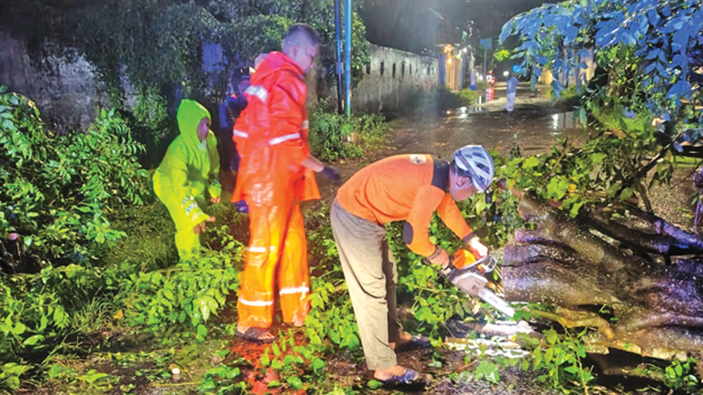 DIPOTONG: Tim gabungan mengevakuasi pohon tumbang di jalan raya Dusun Krajan, Desa/Kecamatan Rogojampi, Rabu malam (4/3).