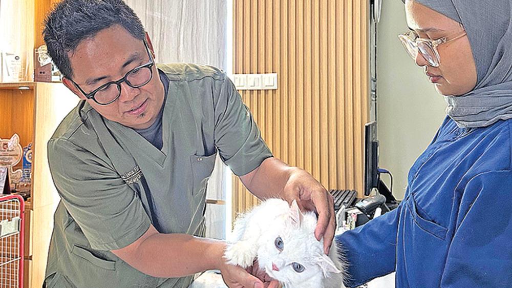 Salah satu pemilik tempat penitipan hewan di Dusun Jenisari, Desa Gentengkulon, Genteng, drh Risa Isna Fahziar memeriksa kucing yang dititipkan pelanggan kepadanya, Jumat (6/3).