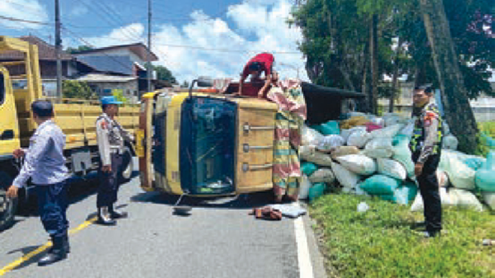 OVERLOAD: Truk nopol P 8973 UN yang menngangkut gabah terguling di tikungan Perkebunan Glenn Falloch, masuk Dusun Tegalgondo, Desa Kajarharjo, Kecamatan Kalibaru, Sabtu (14/3)