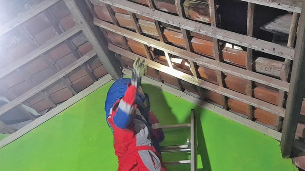 Tim Pemadam Kebakaran menaiki tangga untuk menjangkau sarang tawon yang berada di atap rumah warga di Kampung Kesambi Rampak, Desa Gunung Malang, Suboh, Situbondo, Minggu (22/3).
