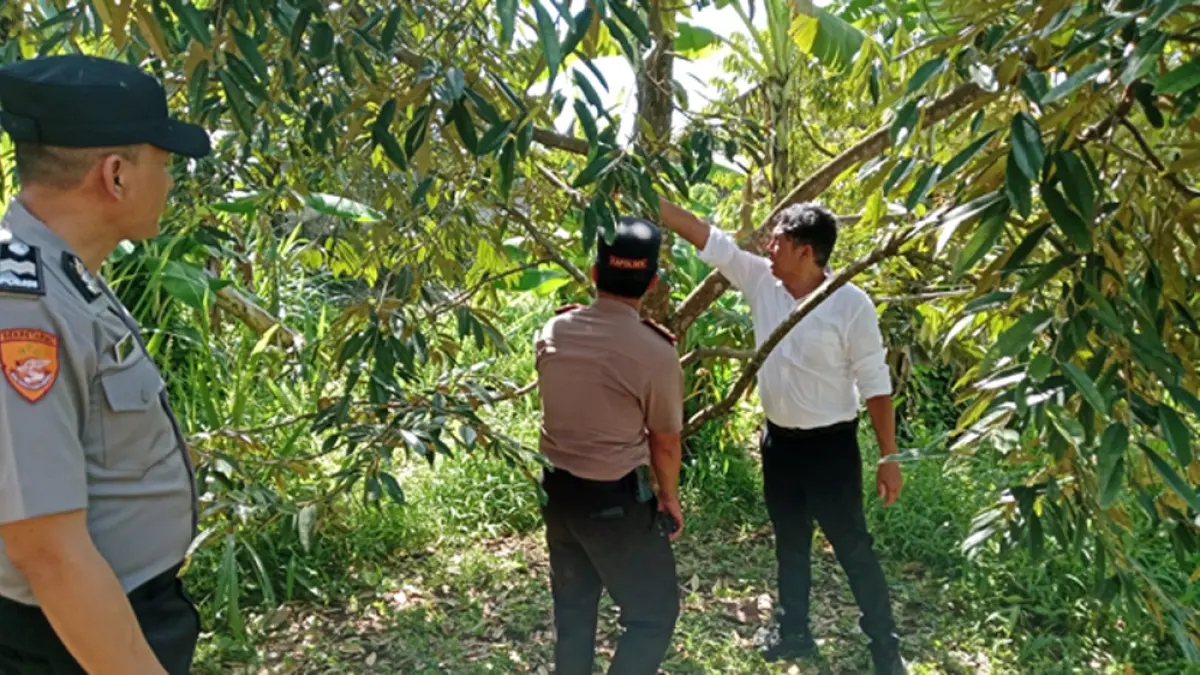 OLAH TKP: Anggota Polsek Kabat bersama Tim Inafis Polresta Banyuwangi melakukan olah tempat kejadian perkara kasus pria yang mengakhiri hidupnya sendiri di Desa Kedayunan, Kecamatan Kabat, Senin (30/3). (Polsek Kabat)