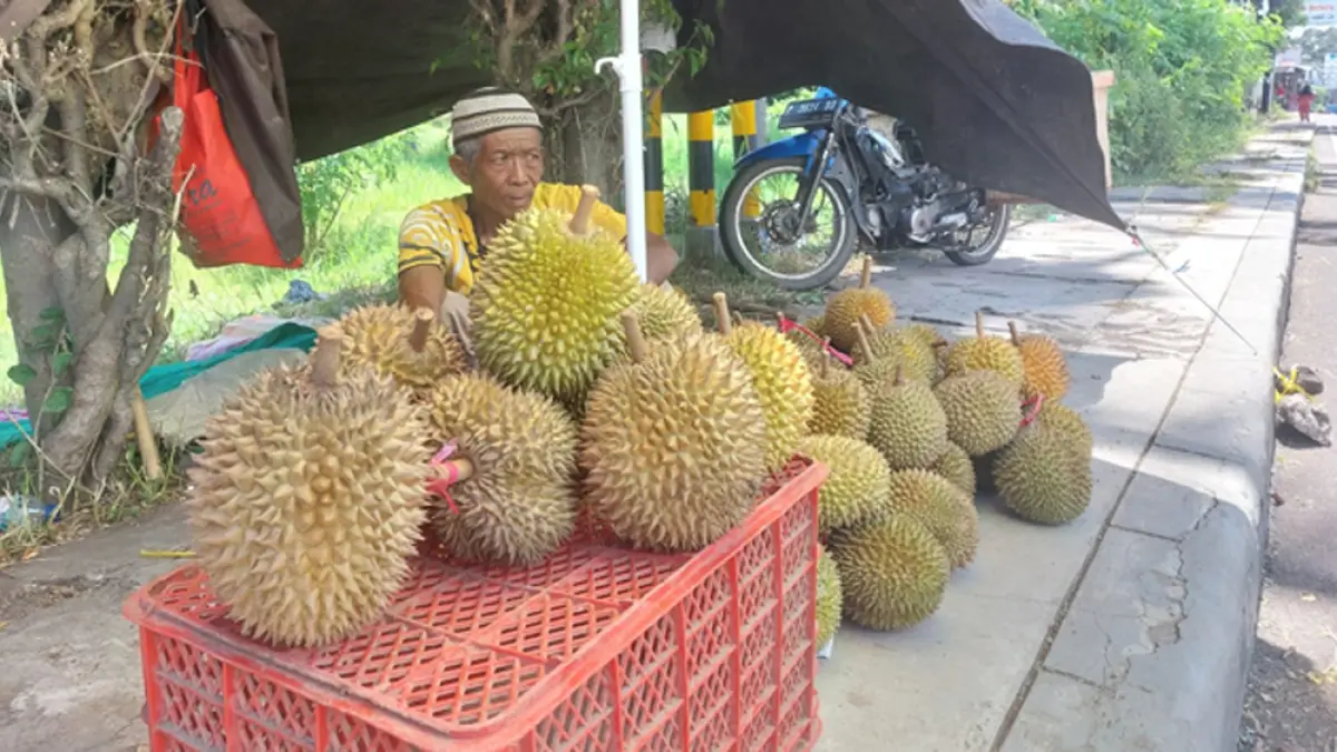 BERAROMA KHAS: Kacung menjajakan durian di tepi jalan raya di wilayah Kelurahan Klatak, Kecamatan Kalipuro, Selasa (31/3). (Akbar Maulana/Radar Banyuwangi)