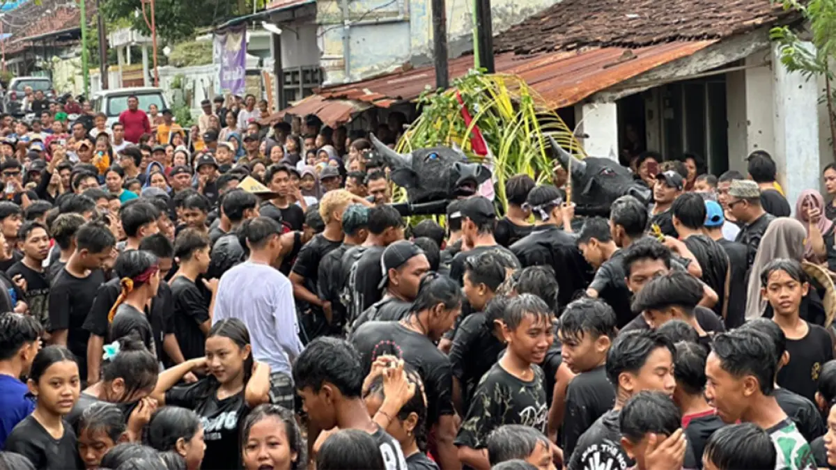Tradisi Kebo-keboan Boyolangu 2026 dipadati ribuan warga. Ritual budaya sakral ini jadi pembuka Puter Kayun di Banyuwangi. (banyuwangitourism.com)