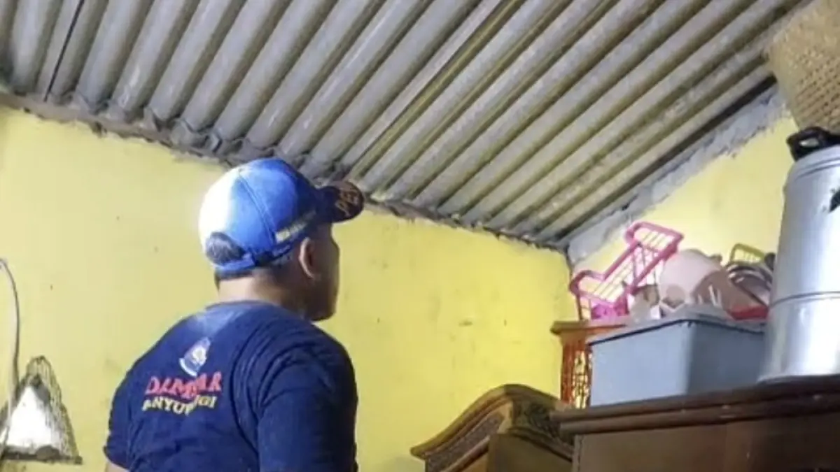 EVAKUASI: Petugas Damkarmat Banyuwangi berusaha menemukan ular kobra di plafon rumah warga Desa Pengatigan, Kecamatan Rogojampi, Selasa sore (7/4). (Kadavi for Radar Banyuwangi)