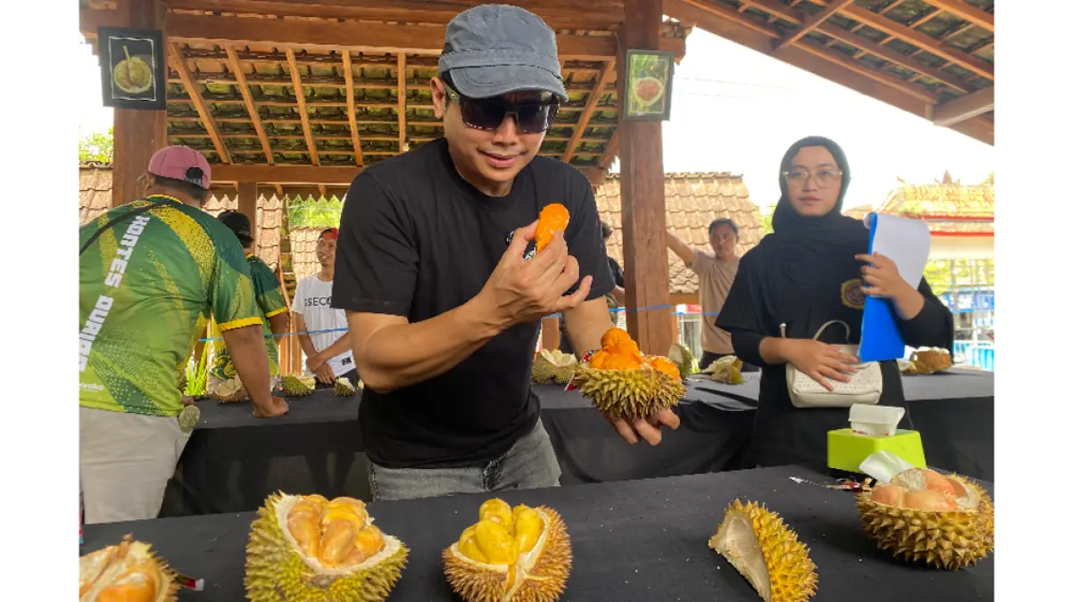 PENJURIAN: Nur Mualif mengaku terkesan dengan karakter durian Banyuwangi, khususnya kategori durian warna yang dinilai memiliki identitas kuat. (banyuwangitoursm.com)