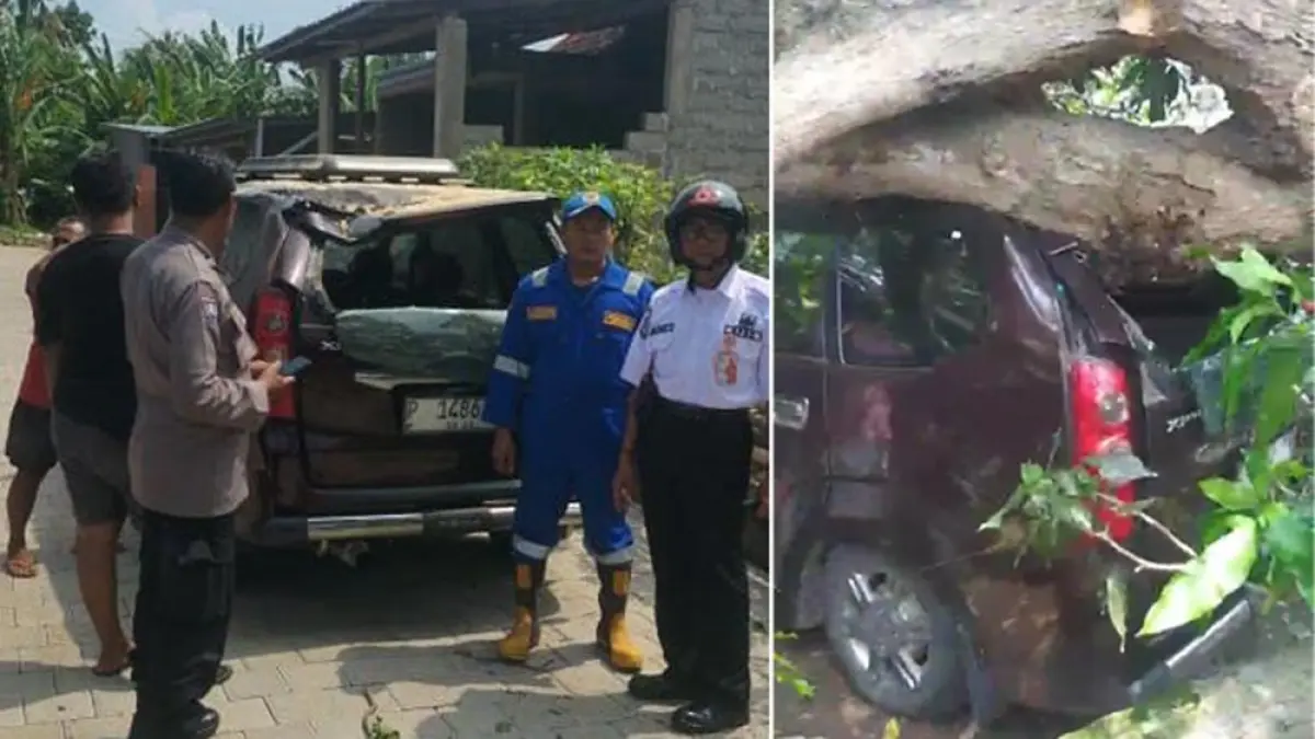 RINGSEK: Mobil tertimpa pohon tumbang di Kelurahan Sobo, Rabu (8/4). (Damkarmat Banyuwangi)