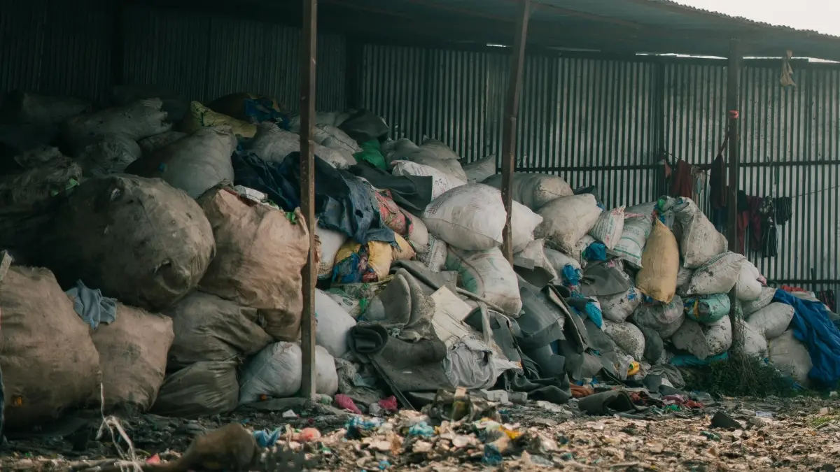 Pemkot Jakarta Barat gandeng KAI untuk membangun TPS 3R. (Pexels/Gaurav Ranjitkar)