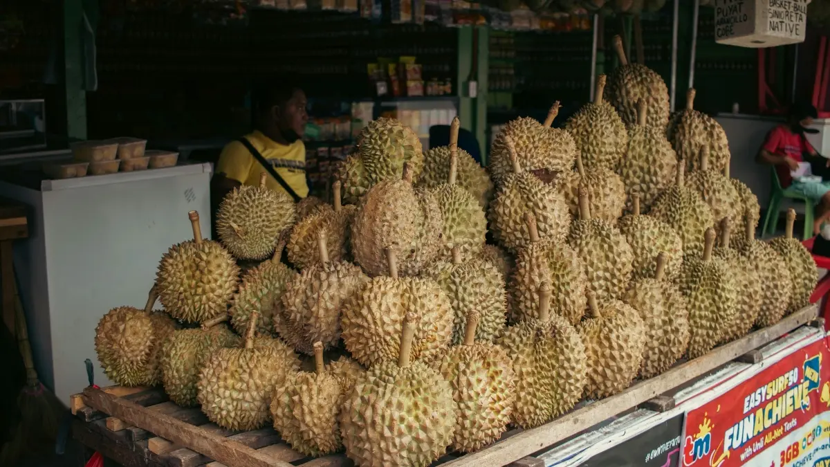 Jalur kereta China-Laos jadi jalur emas distribusi durian Asia Tenggara ke China. (Pexels/John Escudero)