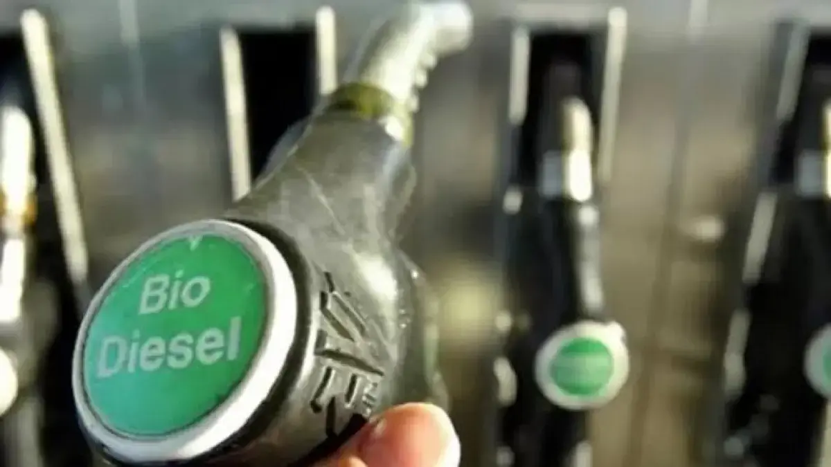 Ilustrasi Biodiesel. (Jawapos.com)