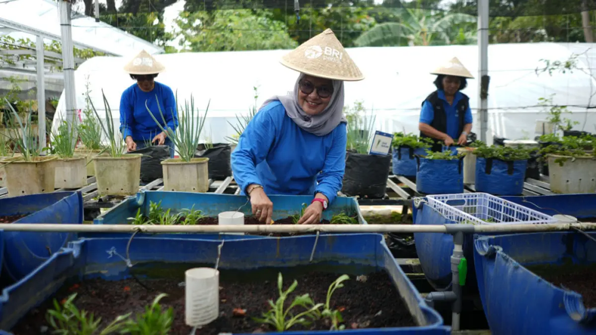 Program BRInita BRI dorong perempuan lewat urban farming. Hasilkan ribuan tanaman dan tingkatkan ekonomi serta ketahanan pangan keluarga. (foto: BRI)