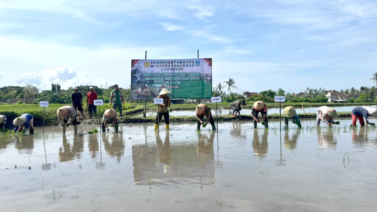 SERENTAK SE JATIM: Lintas elemen melakukan penanaman padi di lahan Poktan Gunung Saprojo, Kelurahan Penganjuran, Kecamatan Banyuwangi, Kamis (23/4). (Humas Pemkab Banyuwangi)