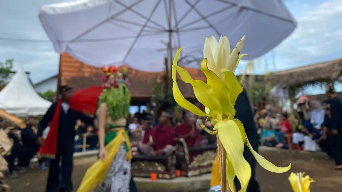 SEBLANG OLEHSARI: Kembang dermo merupakan identitas budaya yang tidak hanya sarat makna, tetapi juga menjadi bagian penting dalam kehidupan spiritual masyarakat Olehsari. (Disbudpar Banyuwangi)