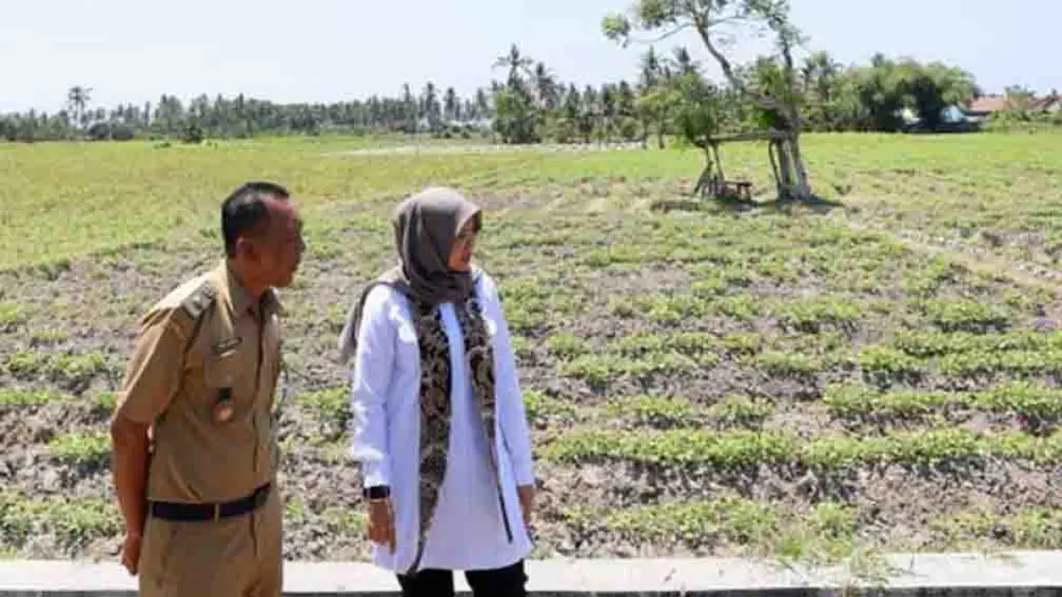 Banyuwangi siaga El Nino 2026. Pemkab Banyuwangi bentuk satgas kemarau panjang, 11 kecamatan rawan kekeringan, antisipasi karhutla dan krisis air. (banyuwangikab.go.id)
