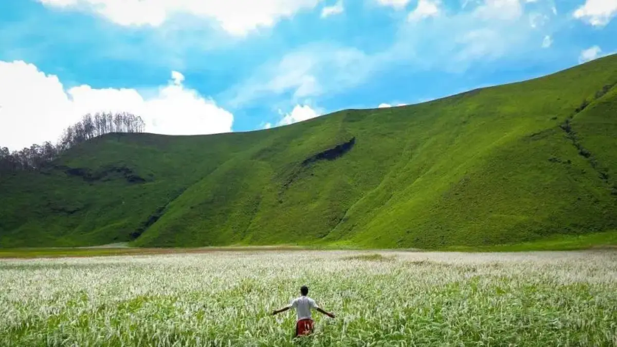 Bukit Apetlepet di Bondowoso tawarkan panorama ala Teletubbies dekat Kawah Ijen. Hidden gem eksotis, cocok trekking dan healing. (Kementerian Pariwisata dan Ekonomi Kreatif Republik Indonesia)