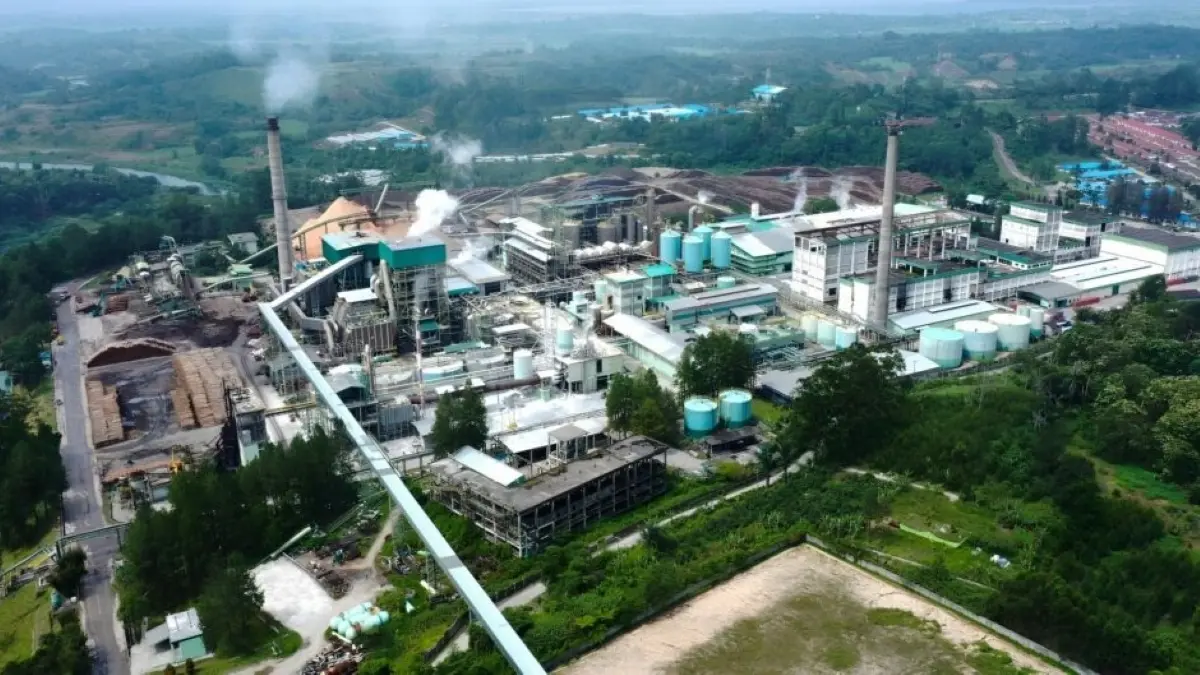 PT Toba Pulp Lestari Tbk (INRU) umumkan PHK karyawan mulai 12 Mei 2026 imbas pencabutan izin PBPH. (Gen Amikom)