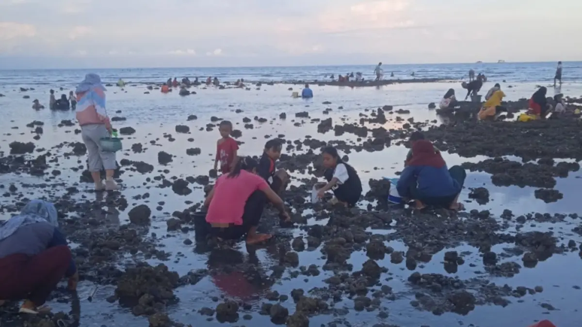 MEMANFAATKAN MOMEN: Warga berburu kerang di Pelabuhan Satelit, Dusun Palurejo, Desa Tembokrejo, Kecamatan Muncar, ketika air surut di musim padangan, Kamis (30/4). (Zamrozi Wahyu/Radar Banyuwangi)