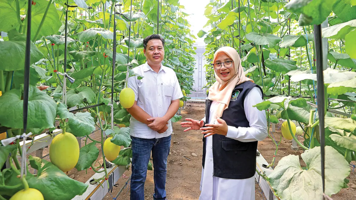 OPTIMALKAN POTENSI: Bupati Ipuk Fiestiandani mengunjungi green house melon hidroponik premium dalam rangkaian kegiatan Bunga Desa di Kecamatan Purwoharjo pada Rabu (29/4). (Dini for Radar Banyuwangi)