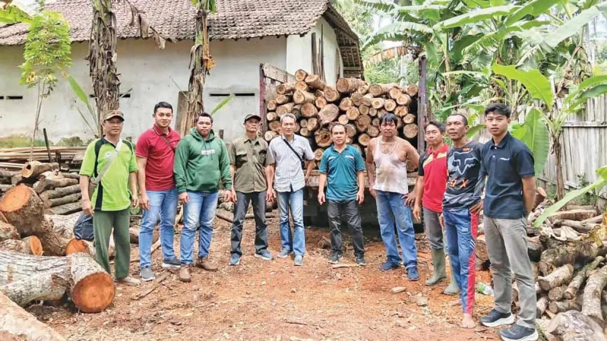 DIANGKUT: Petugas gabungan mengamankan ratusan batang katu jati ilegal di lahan kosng Desa Sukorejo, Kecamatan Bangorejo, Kamis (30/4). (Sugeng Wahono for Radar Banyuwangi)
