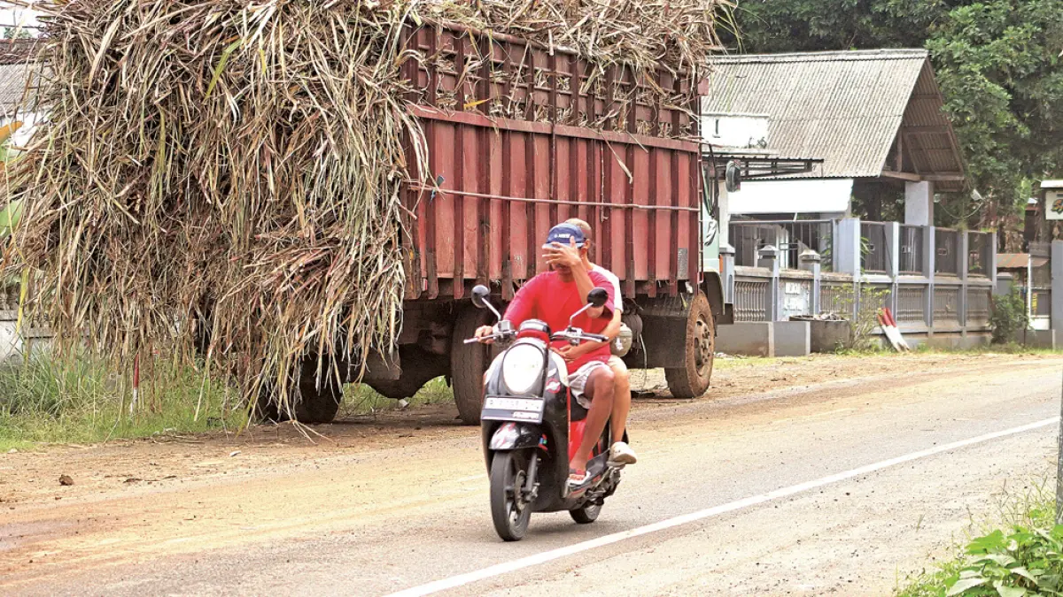 BERDEBU: Warga menutup mata saat melintas di jalan raya sekitar Jembatan Mayit di perbatasan Dusun Nganjukan, Desa Karangsari, Kecamatan Sempu dan Dusun Resomulyo, Desa Genteng Wetan, Kecamatan Genteng, beberapa waktu lalu (21/11/2025). (Dok Radar Banyuwangi)