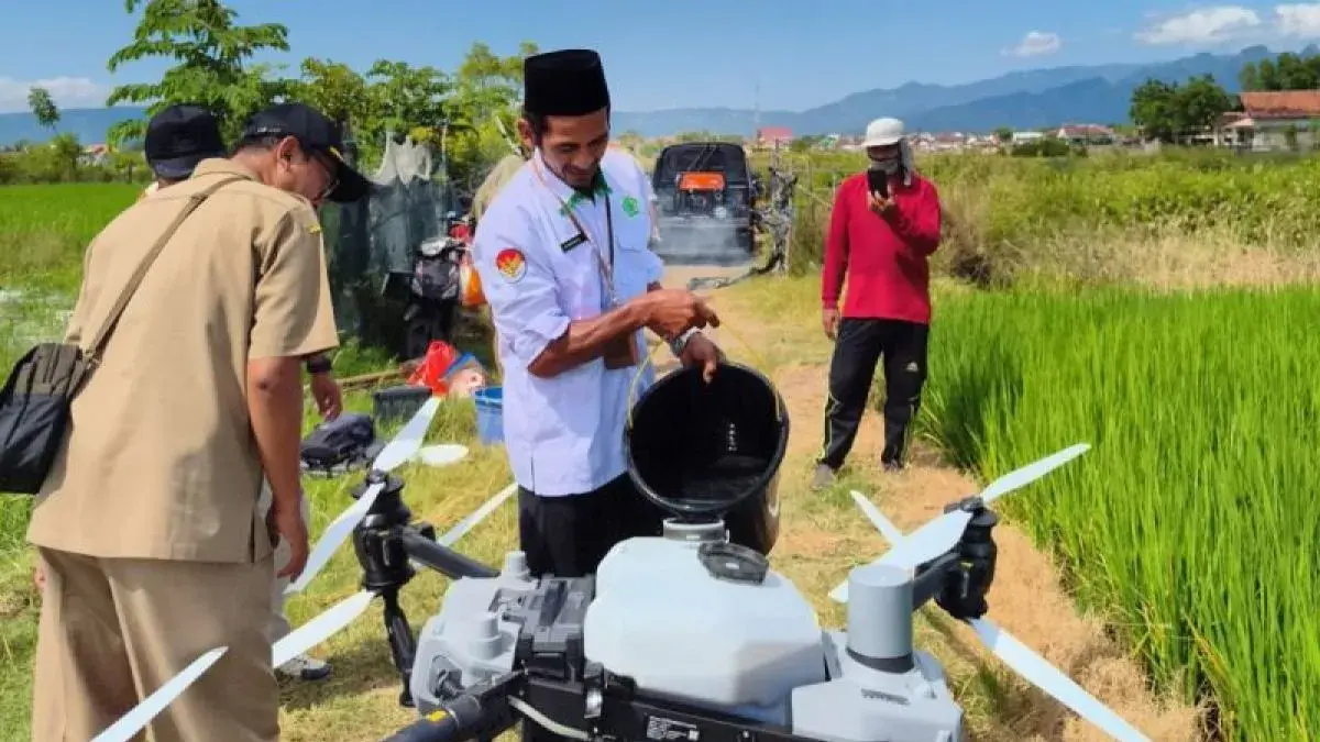 Petugas Dispertan Situbondo, Jatim, menggunakan drone sprayer menyemprotkan pupuk di lahan tanaman padi. (ANTARA/HO-Dispertangan Situbondo)