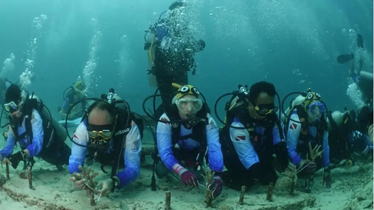 Pulihkan Ekosistem Wisata Laut di Aceh, Pekerja BRI Lakukan Transplantasi Terumbu Karang di Perairan Kepulauan Sabang. (foto: BRI)