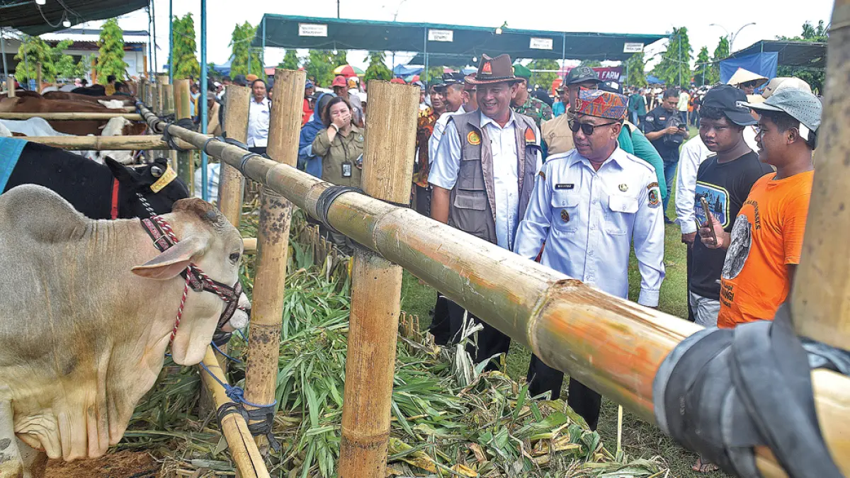 PENGECEKAN: Wabup Mujiono didampingi Kepala Dispertan Danang Hartanto meninjau Kontes, Pameran dan Bursa Ternak 2026 yang berlangsung di lapangan Desa Kedungasri, Kecamatan Tegaldlimo, Rabu (6/5). (Zamrozi Wahyu/Radar Banyuwangi)