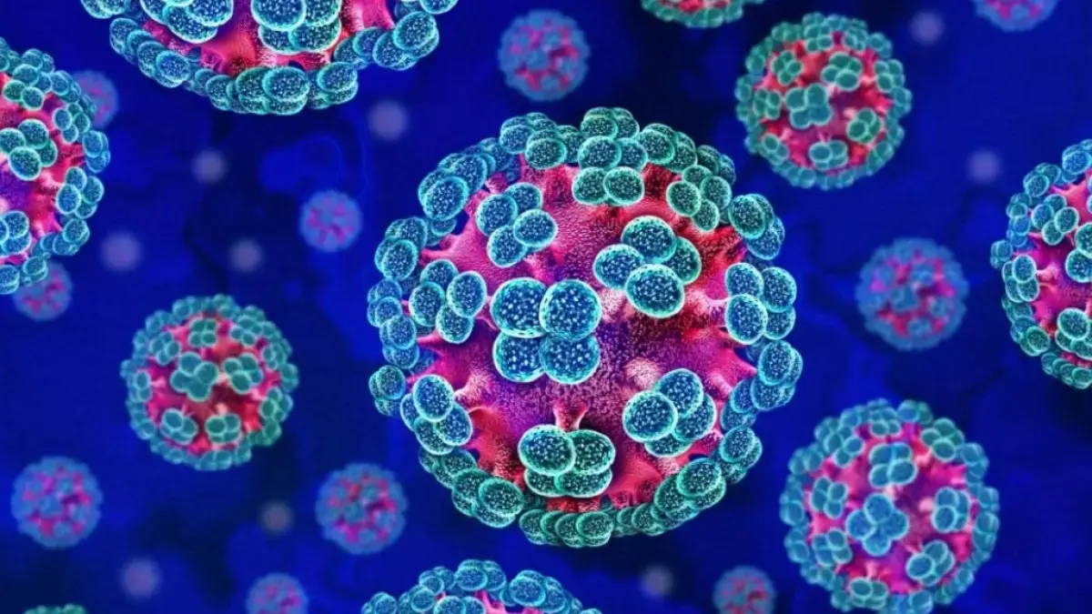 Ilustrasi Hantavirus. (UK Health Security Agency)